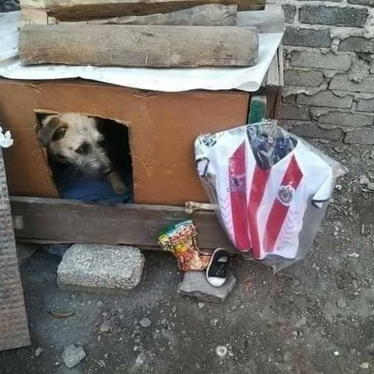 ChivasShitpost's tweet image. si llegaron los reyes banda