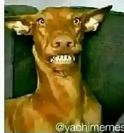 How last borns look like after reporting you.