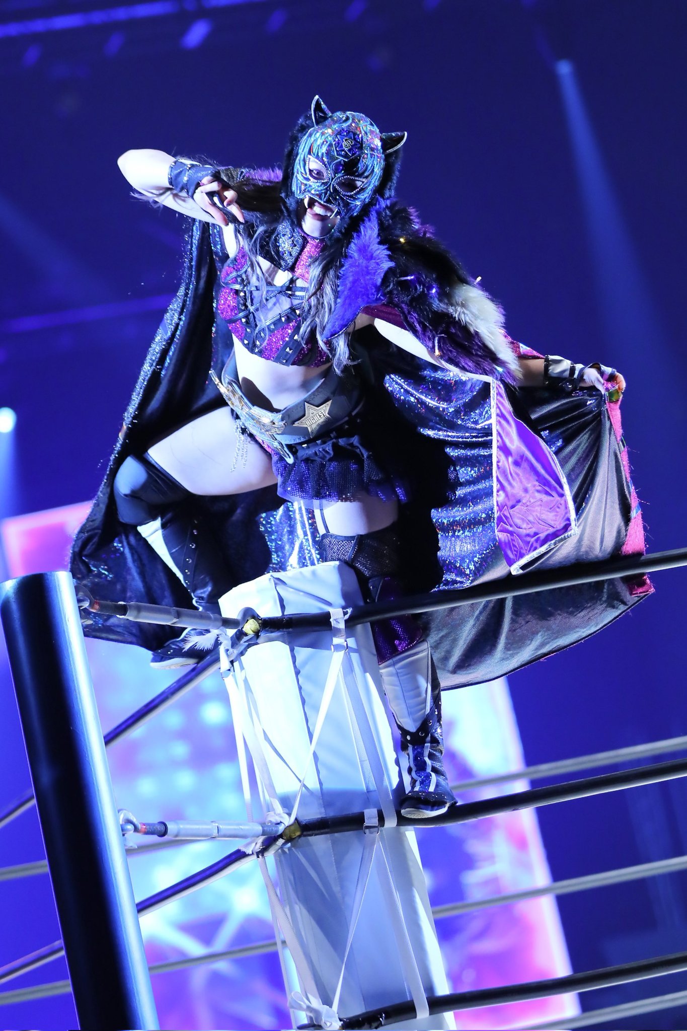 GDNoXgibwAAHAfu?format=jpg&name=orig