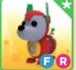 koh_tse's tweet photo. Prize is FR Robo Dog and these pet wears for 1 winner
Rules are in the comments
Ending this on 10/1/2024
#adoptme #adoptmegiveaway #adoptmegiveaways #adoptmegw #adoptmeg https://t.co/UTA8RTFa4O