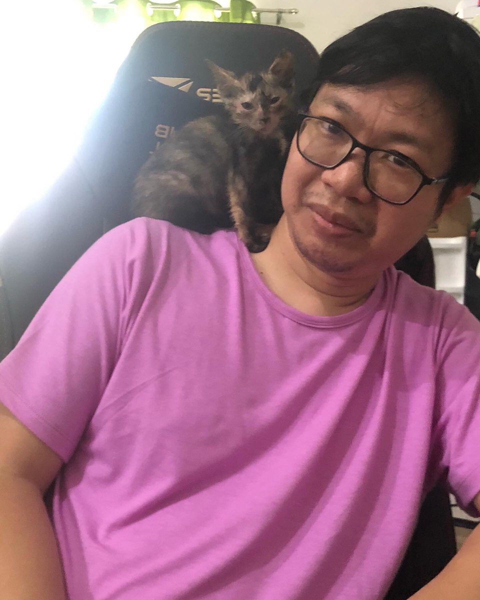 methmirabel's tweet image. Baby Pas with her furdad. 😽

#tabachingching
#tortoiseshellcat
#catlovers
#adoptdontshop
#rescuedismyfavoritebreed