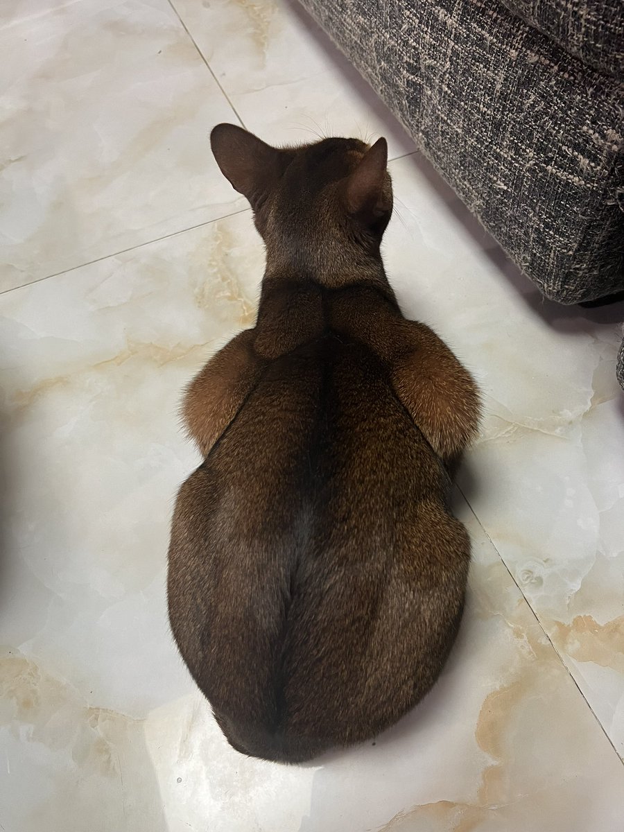 fuckmequickly00's tweet photo. 为什么一到周末，大家都有事做，就我没有呢？总是孤零零的一个人…… https://t.co/9XhOoPicEB