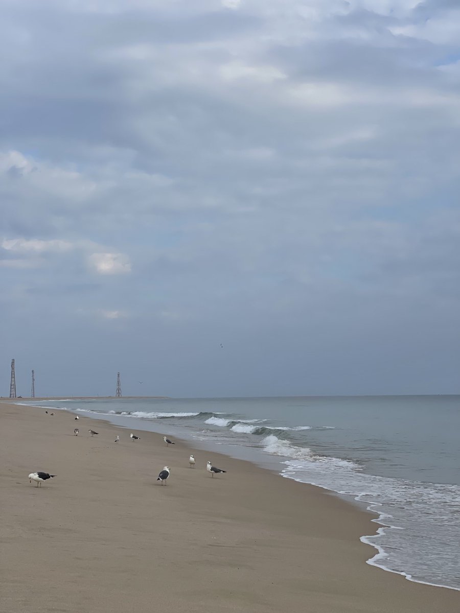 Â (@62_al7arbi) on Twitter photo 