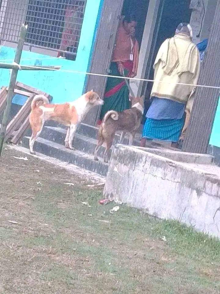 LSvltana's tweet photo. সময় মত চলে আসছে তারা,,,
ভোট দিতে https://t.co/YtaoMWtGzF
