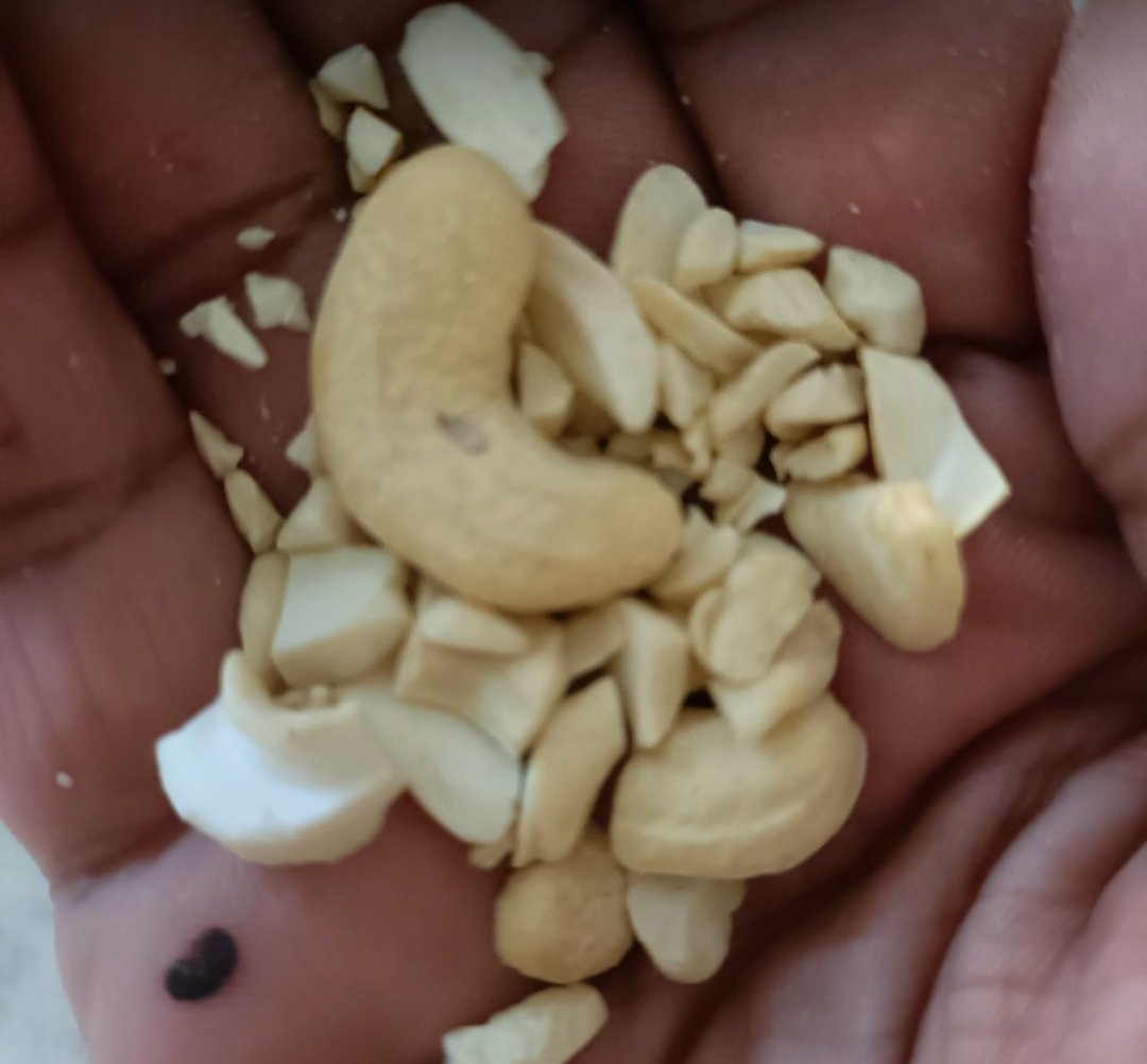 MalavManthan's tweet photo. I ordered 500gm cashews and 500gm almond from @JioMart but i received it wrotten and broken then i complained about it but behaviour of customer executive on call is totally unacceptable  how can i check the almond or cashews are in good condition without opening the package https://t.co/N5X8SMxL8s