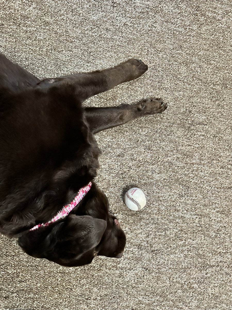 uhhh gabe tweet media