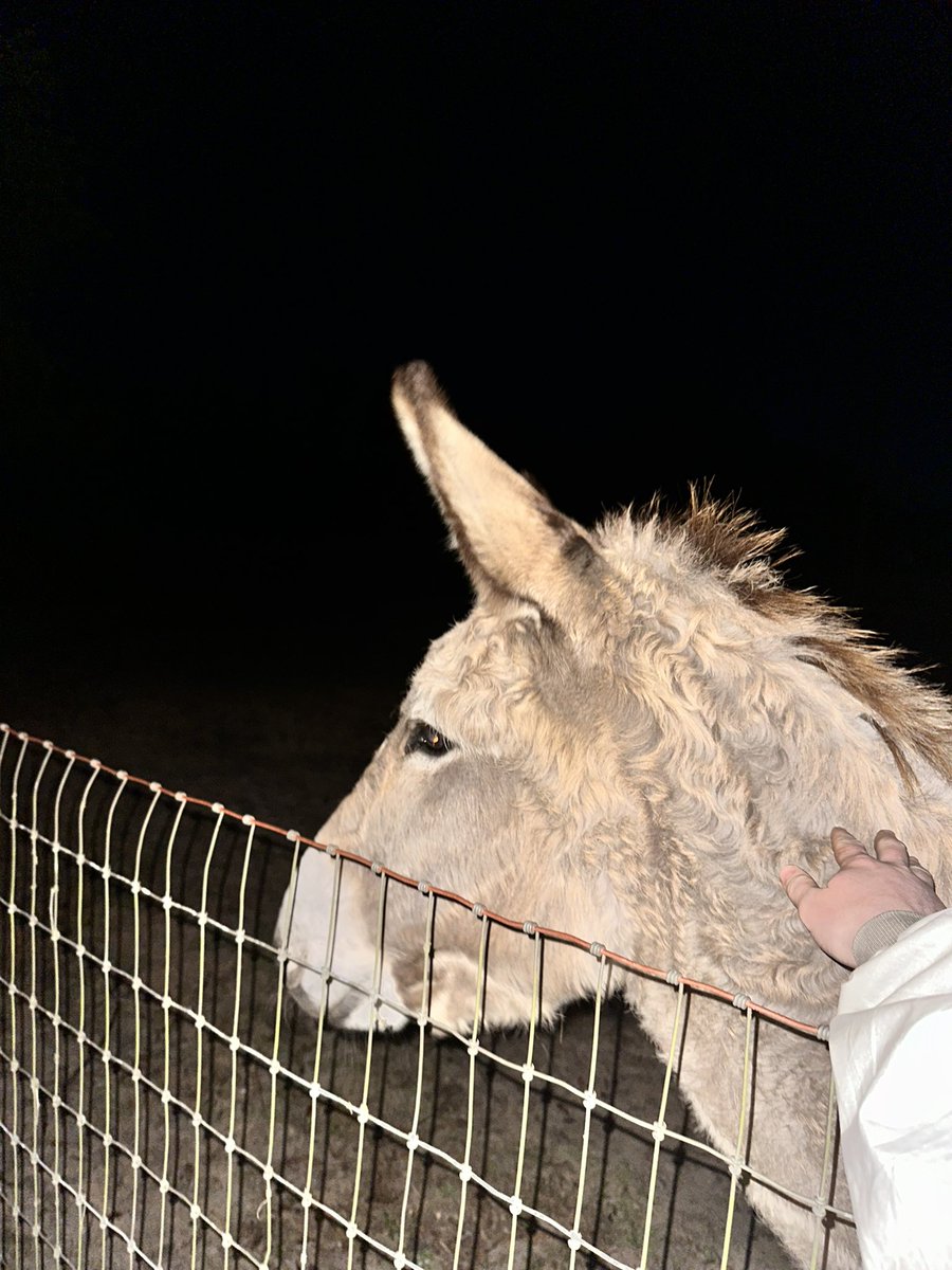 uhhh gabe tweet media