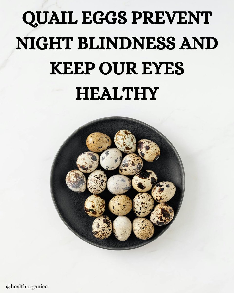 Quail eggs prevent night blindness and keep our eyes healthy. #quail #quailwest #eggs #eggplant #eggrolls #healthy #food #foodporn #foodguide #healthyfoodguide #healthyfood #quaileggs @HealthOrganice