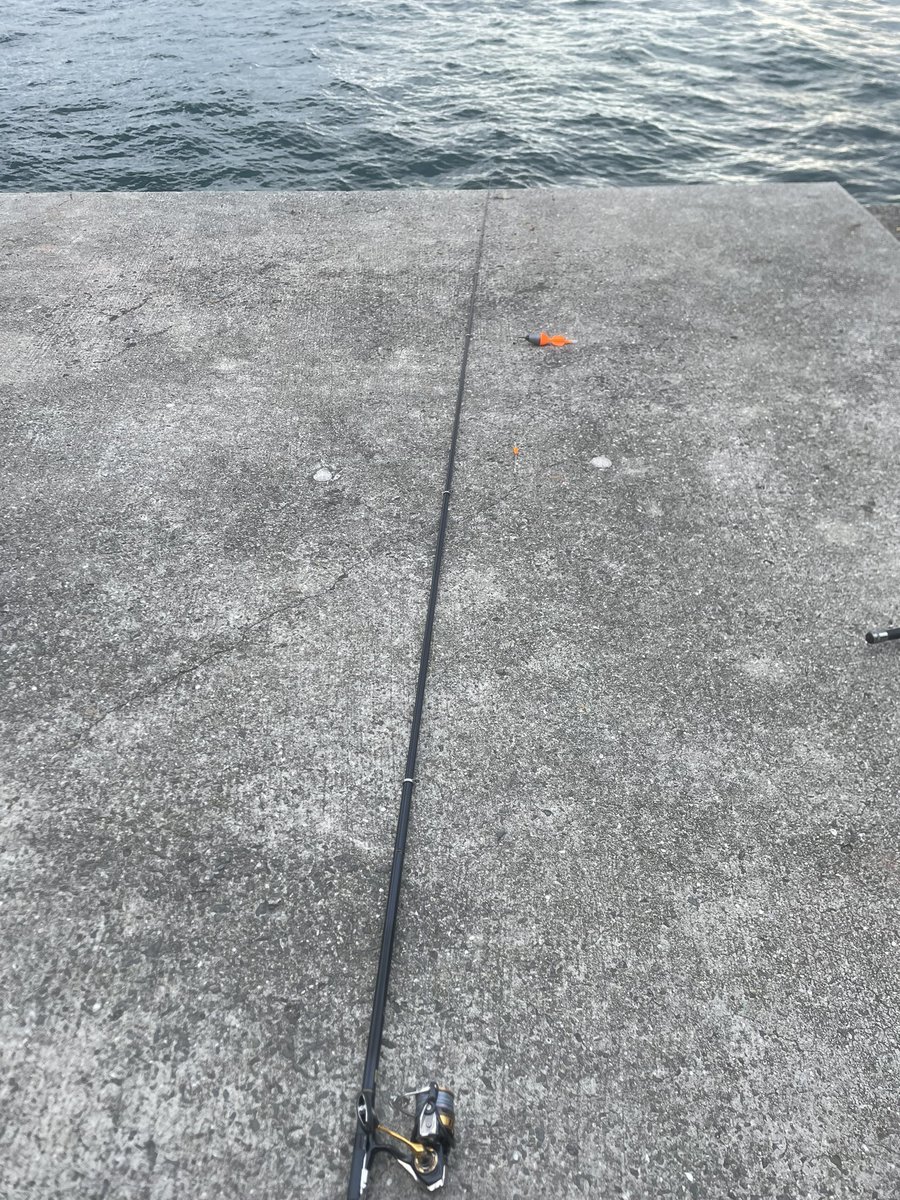 荒れておるなー(๑╹ω╹๑ )💧