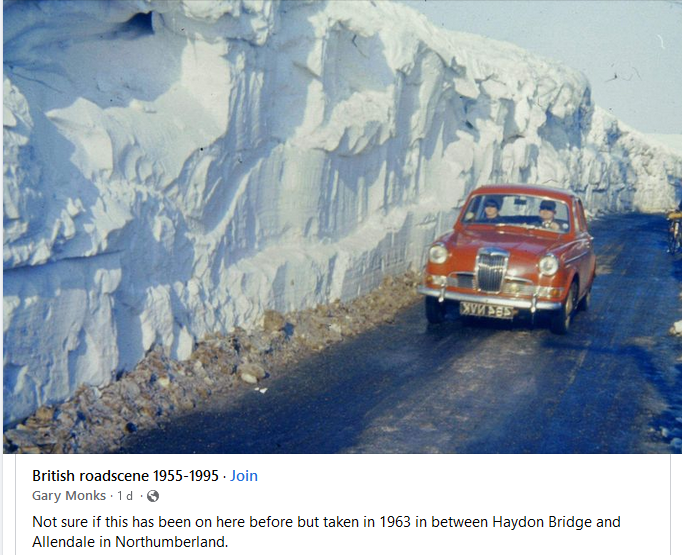 MR_Sneekyhen tweet media