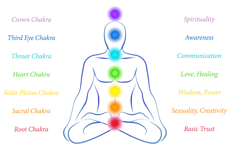 Want to learn more about your chakras? Read our blog from Anne Marie - who shares her wisdom about our energy centres!
bit.ly/2GDCPFj
