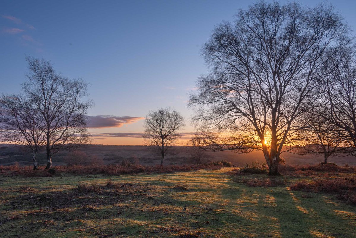 Last nights sunset, Abbotswell then sunrise at Godshill 🙌☀️

#newforest #newyear #hampshire #landscspephotography #naturelover