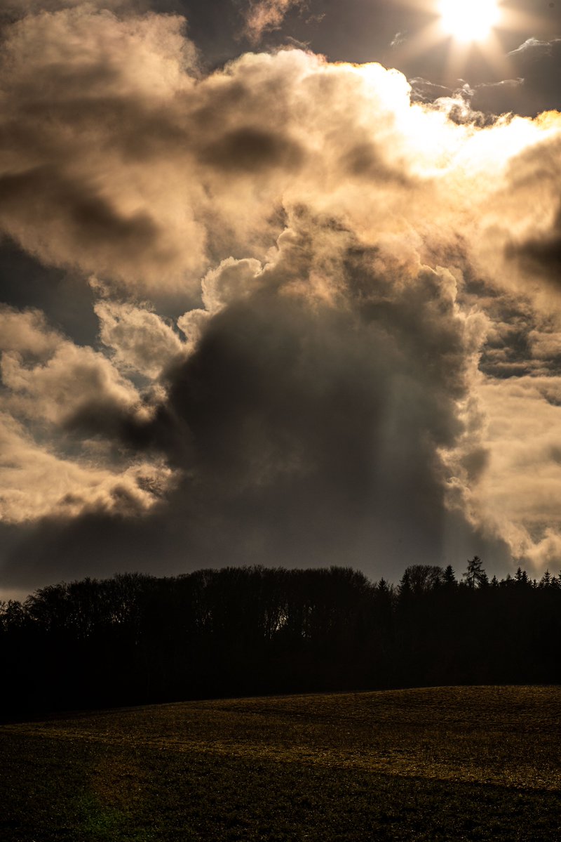 Winterlicht fließt herab
Winterlight pouring down