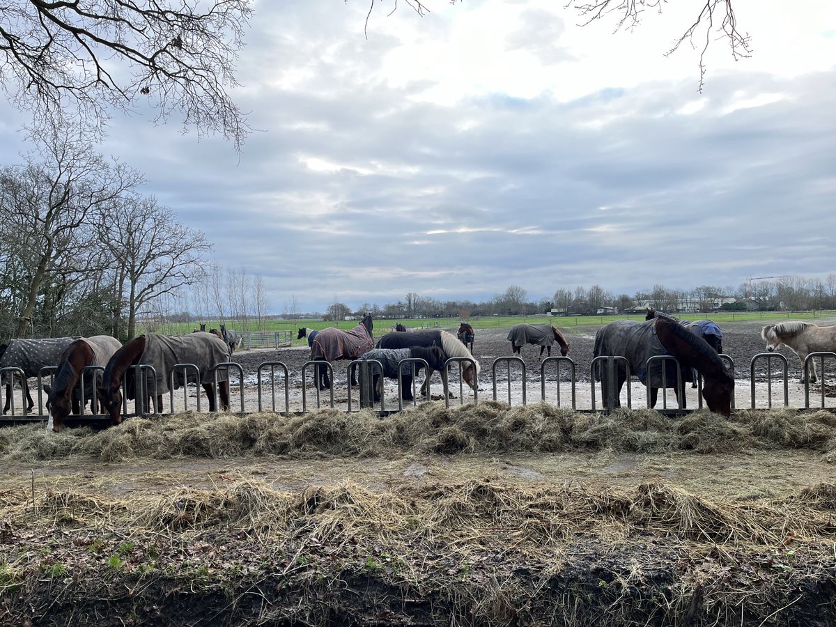 alootsma's tweet image. Heerlijk fris rondje #Schoorl #omloop en koffie bij het #klimduin