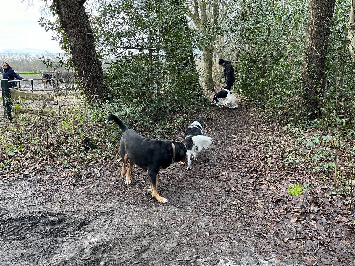 alootsma's tweet image. Heerlijk fris rondje #Schoorl #omloop en koffie bij het #klimduin