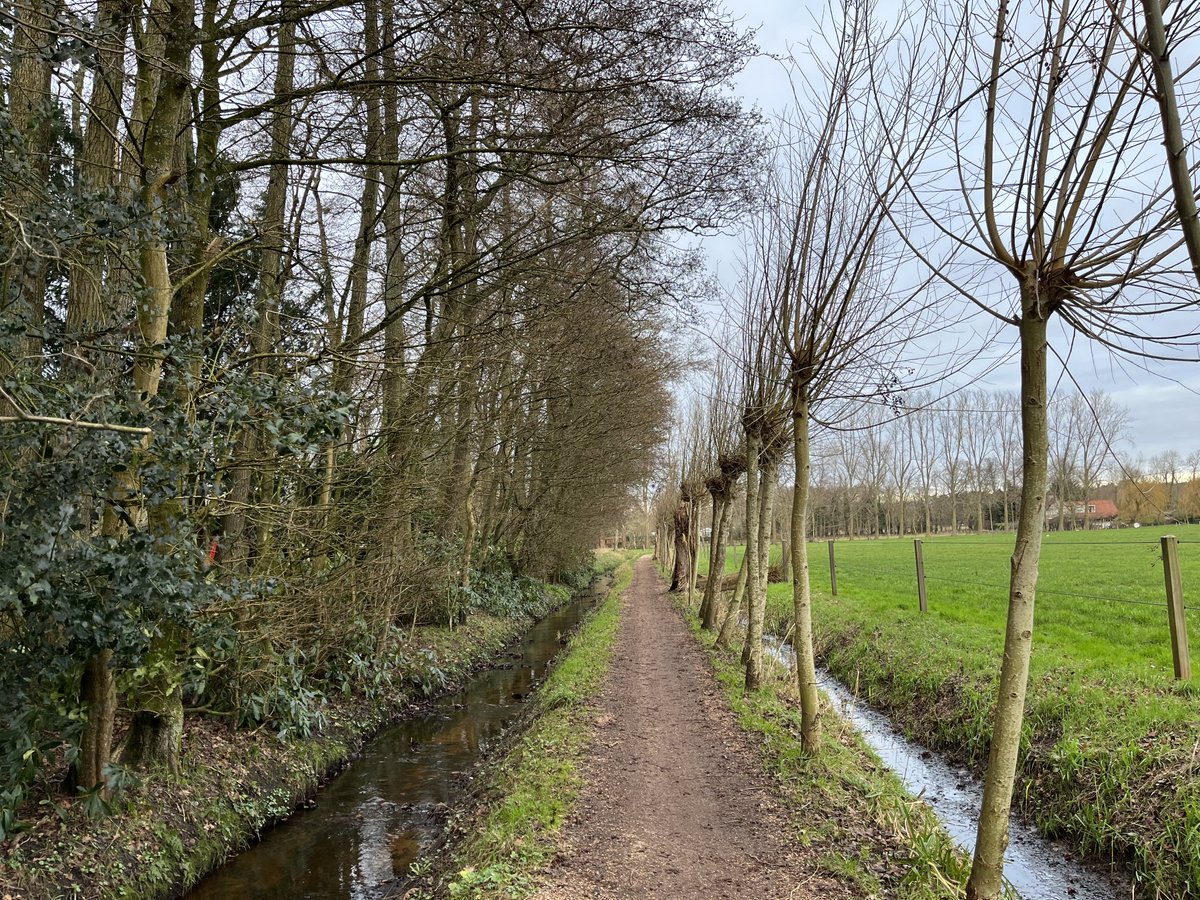 alootsma's tweet image. Heerlijk fris rondje #Schoorl #omloop en koffie bij het #klimduin