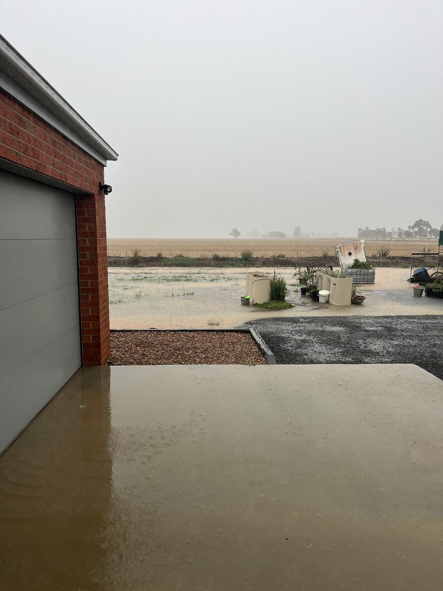 Adam Gould tweet media