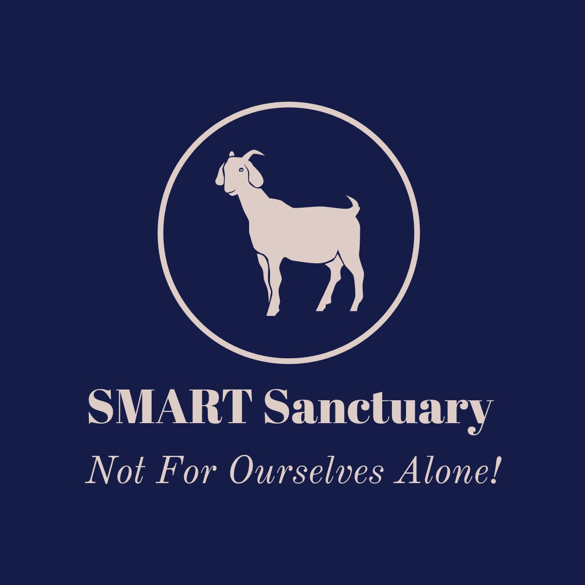 Sophie Memorial Animal Relief Trust tweet media