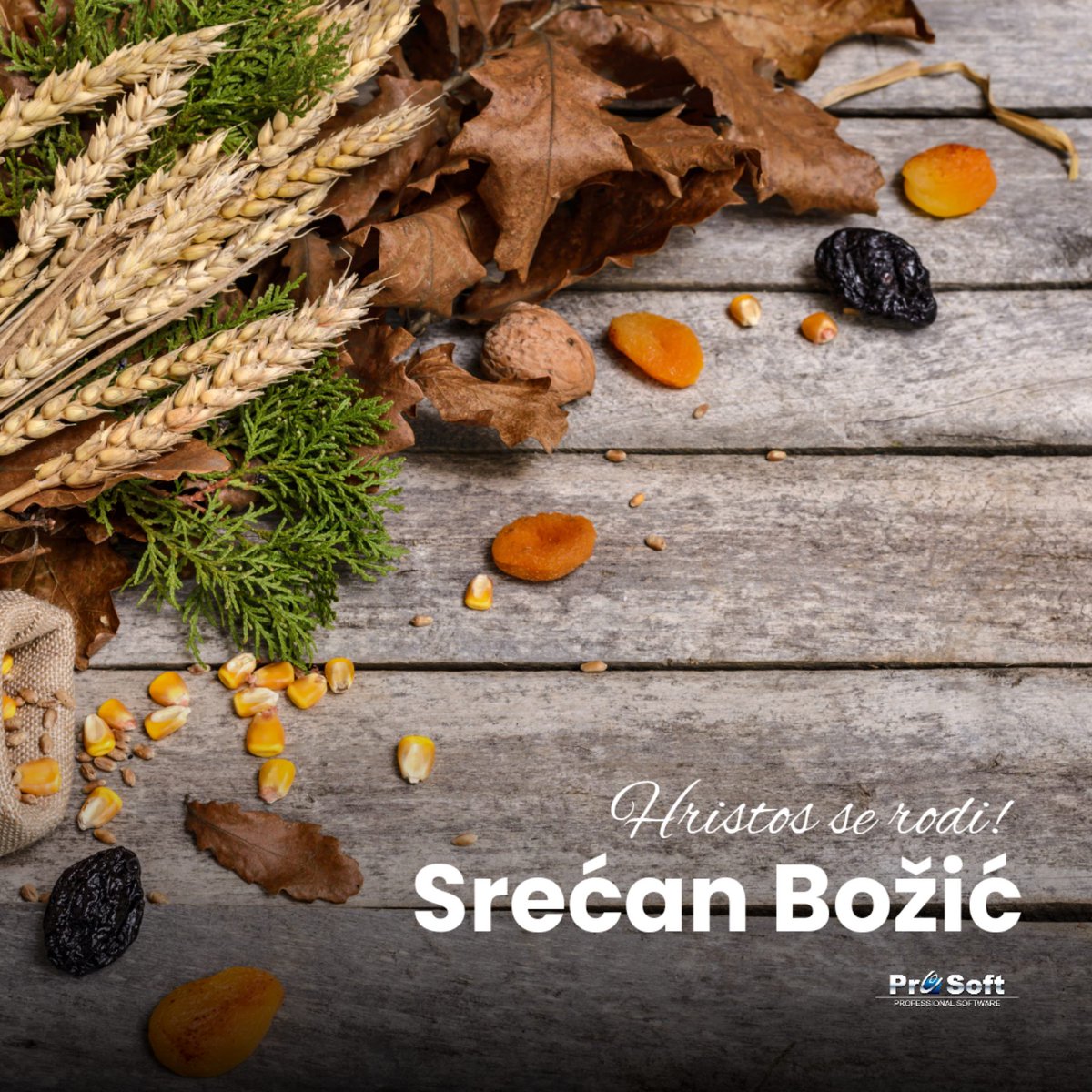 ProSoftSistem's tweet image. Hristos se rodi!
Želimo vam srećan Božić. 

#prosoft
#prosoftsistem
