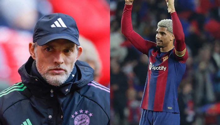 Theo Sutton tweet media