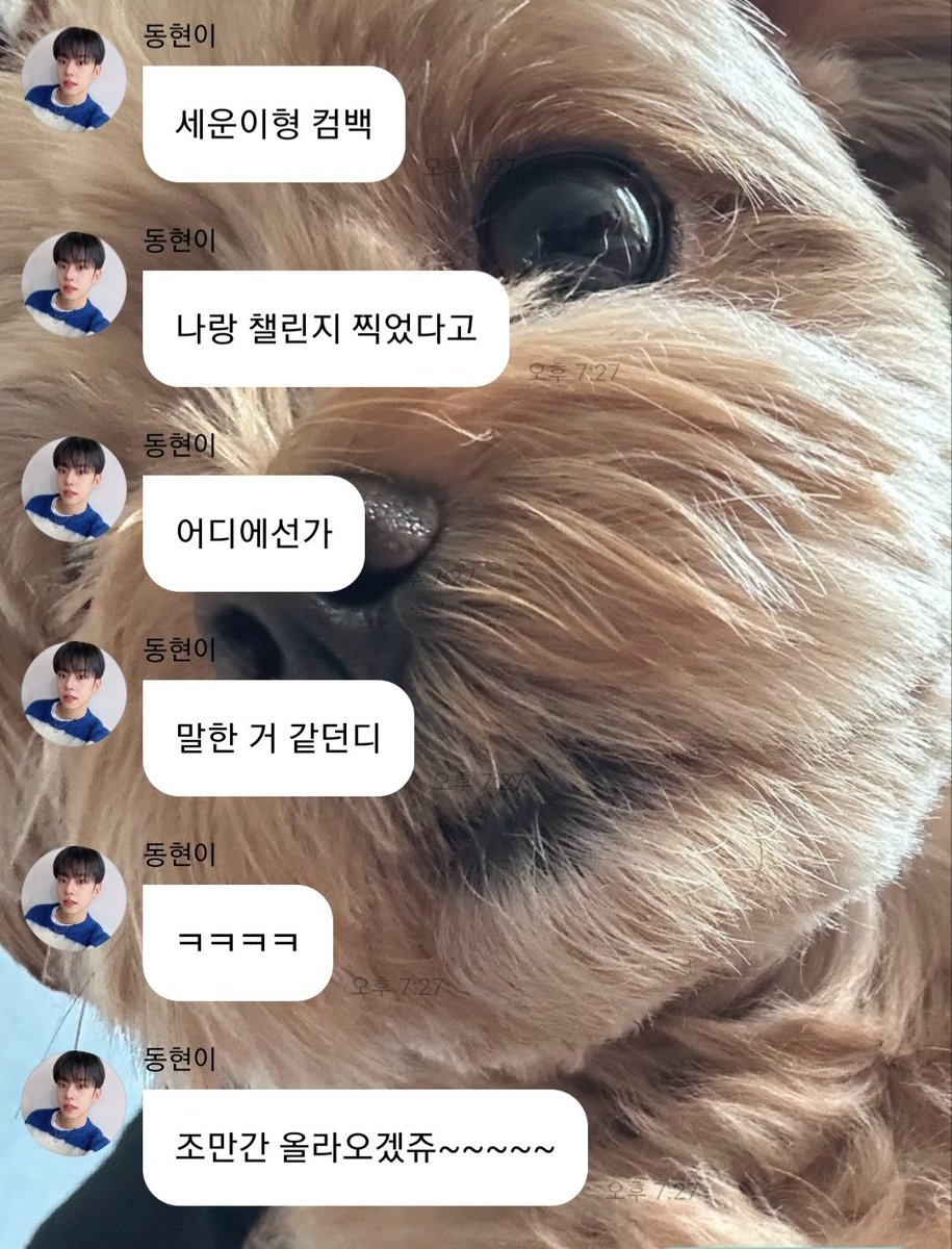 831_906_'s tweet photo. 포동즈 챌린지 당장내놔!!!!!!🔫🔫🔫 https://t.co/t5rjBQPQ3V