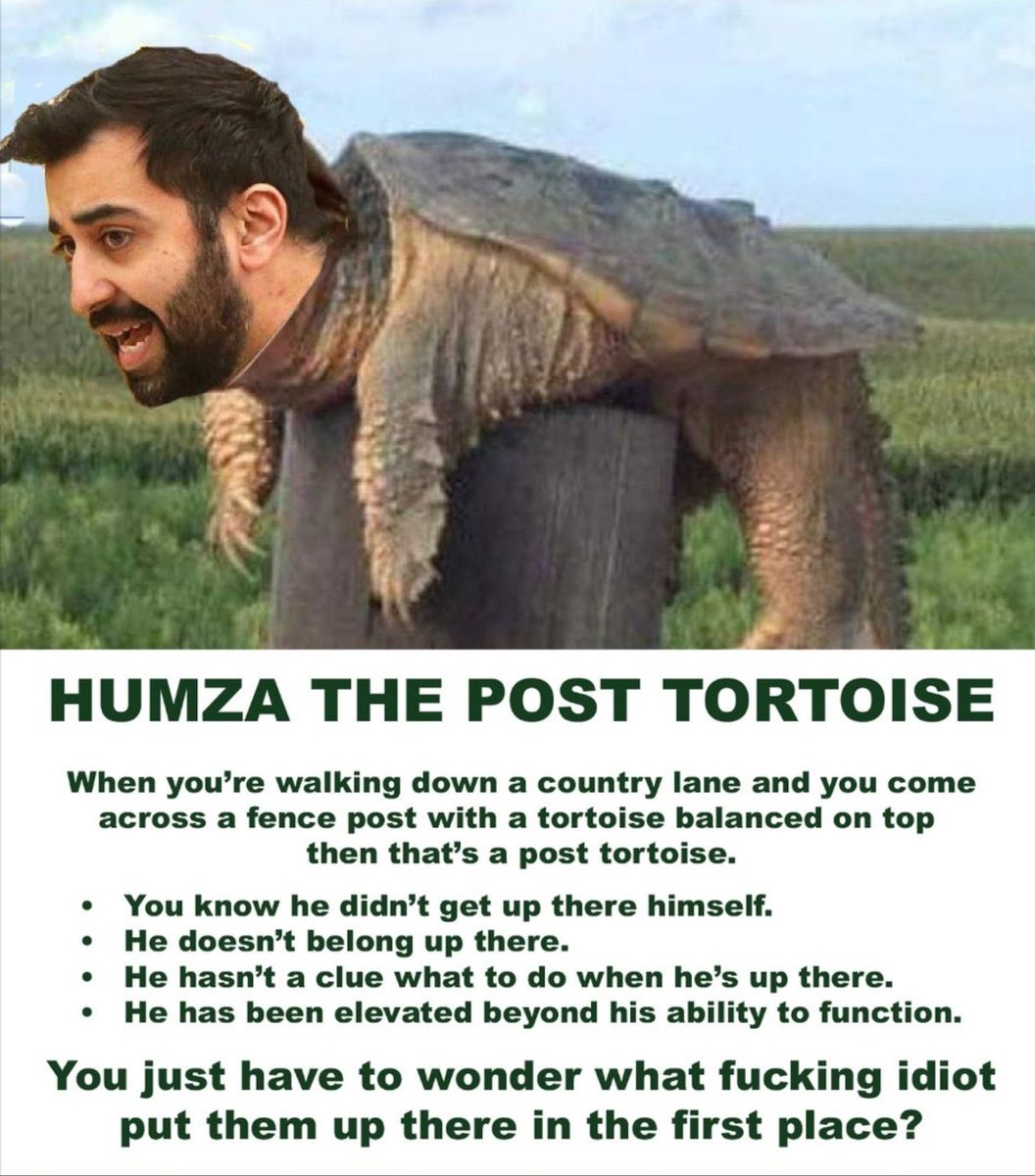 Pepper59569815's tweet image. Scotlands #FirstMuslim will do anything to detract from the mess he and his ilk are making here. If he is so concerned about Gaza then bugger off over there and sort them out. I’m sure Hamas will listen to this total waste of space. @HumzaYousaf