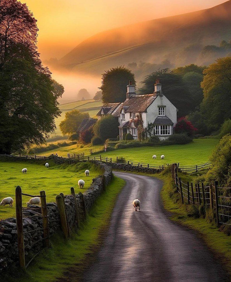 Discovering the charm of rural England! 🏡🐑🌳 

An enchanting landscape awaits with sprawling farms, grazing sheep, and stately homes dotting the picturesque countryside. 

A serene getaway showcasing the beauty of England's countryside. 

#EnglishCountryside #RuralCharm