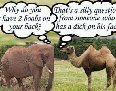 ErinSpksLoudr's tweet image. #sillyquestions