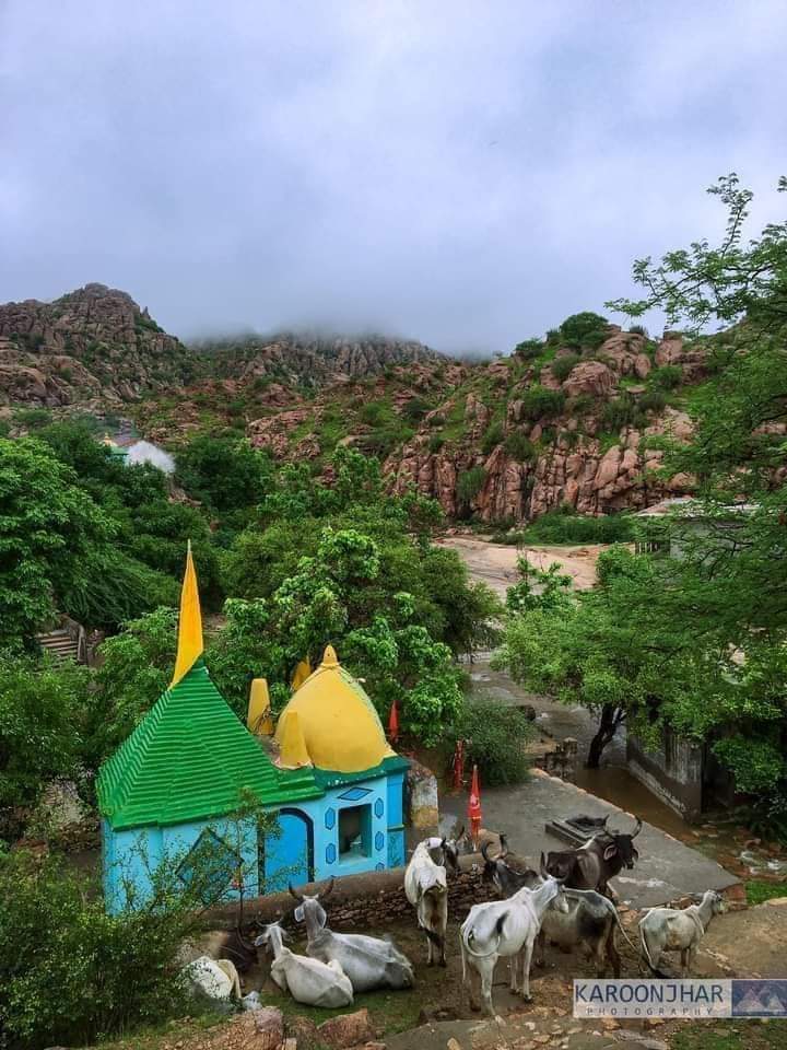 Adv Leelaram tweet media