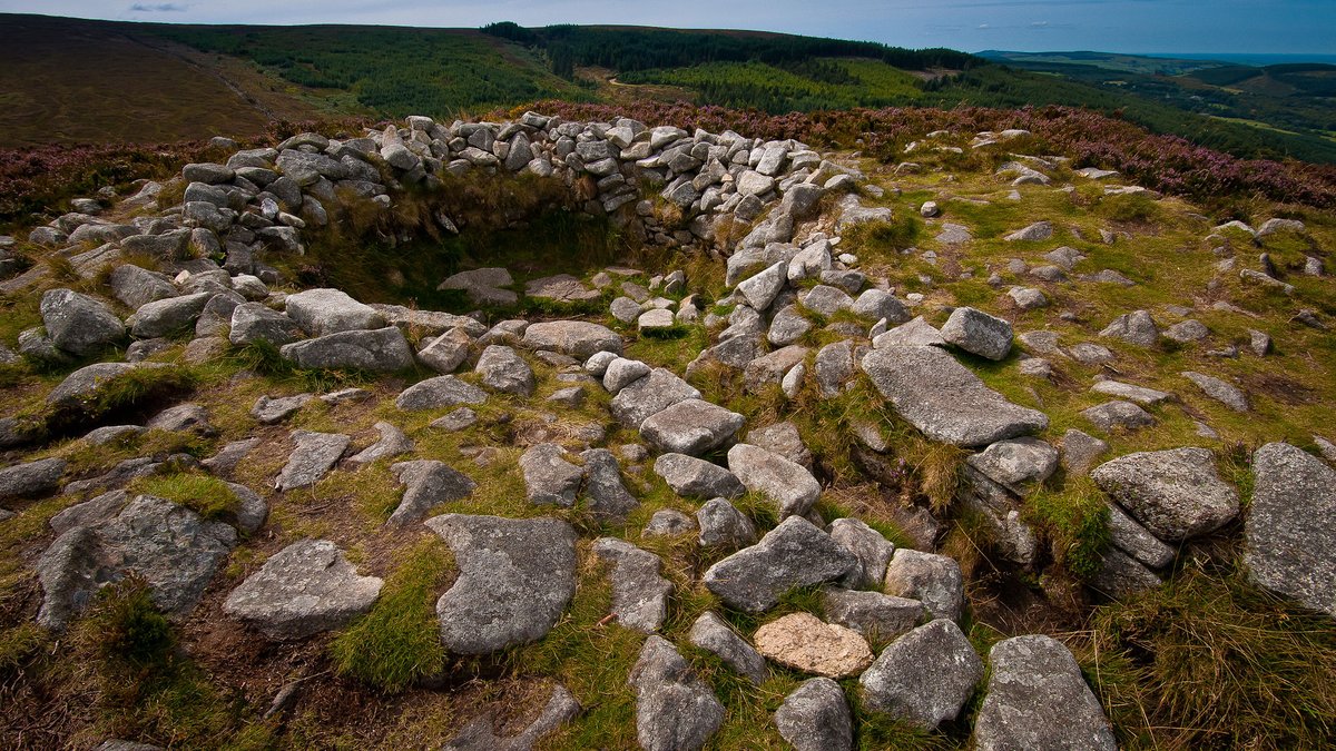 lorraineelizab6's tweet photo. 7 Jan: St Da Lua of Dún Tige Bretan/#Tibradden, Co. #Dublin. The 'fort' might be Tibradden cairn (Elva Johnston). dún=fort. Close to summit of Tibradden Mt is prehistoric burial site 📷cairn with pseudo-passage leading to centre. Stone with spiral pattern inside chamber ©Joe King https://t.co/uu6RIumWWp