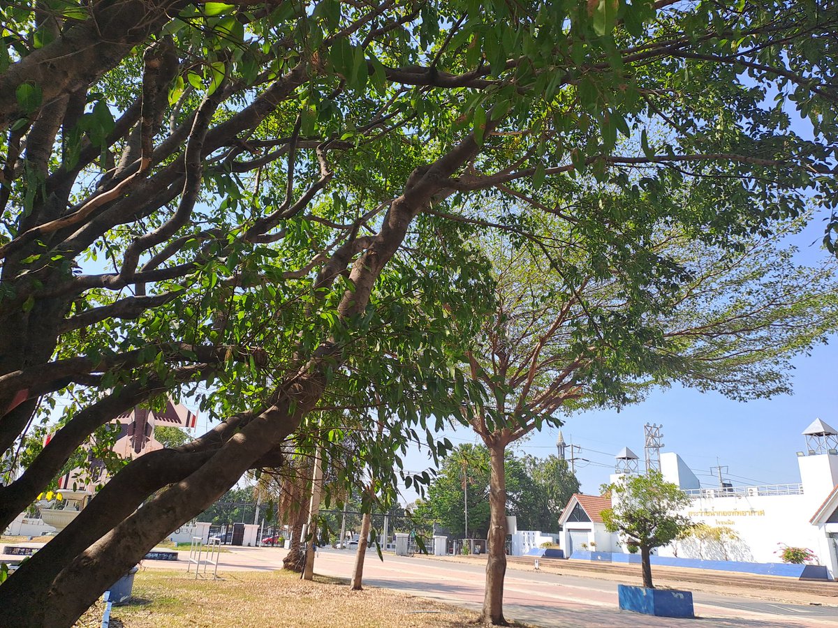 เงี่ยนอยากโดนอม
#ธูปะ #ลําลูกกา