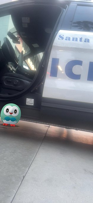 I asked a cop if I could take a picture of my shiny rowlet and his gun. He said he didn&rsquo;t have a gun