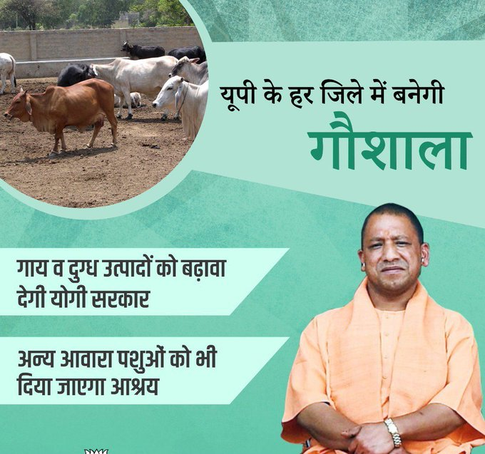 pinki_didi420's tweet photo. @MediaCellSP जनता के साथ होने वाली घटनाएं दुखद हैं। आवारा जानवरों से मुक्ति के लिए हर जिले में गौआश्रय केन्द्र बन रहे हैं, जनता को जल्दी इनसे निजात मिलेगी। https://t.co/JwfHlfVFQ1