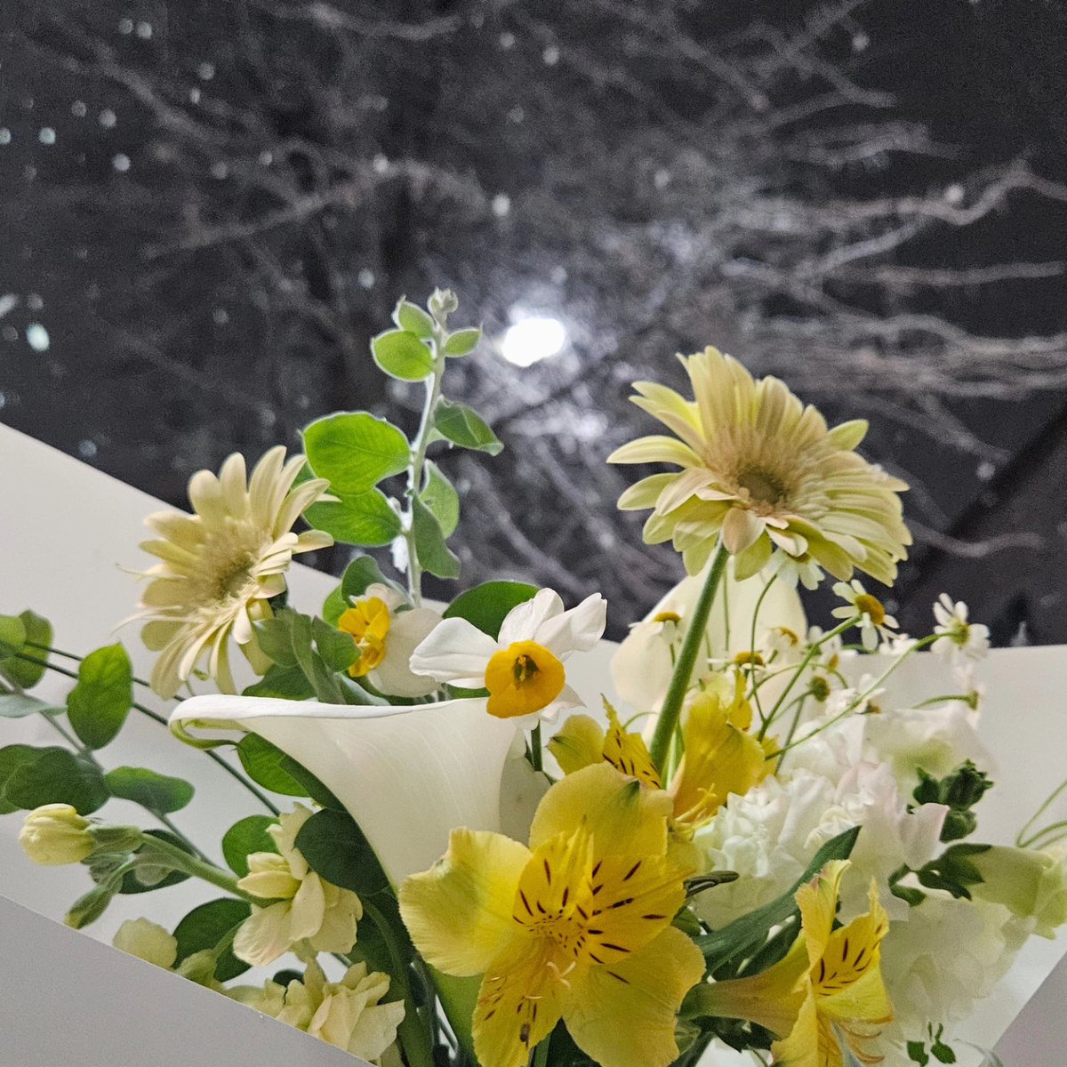 seii_calli's tweet photo. 올해 생일선물은 프로포즈 ㅎㅎ
사실 벌써 촬영도 했고,
4월에 결혼합니다 :)♡ https://t.co/6G8QfDLJqL