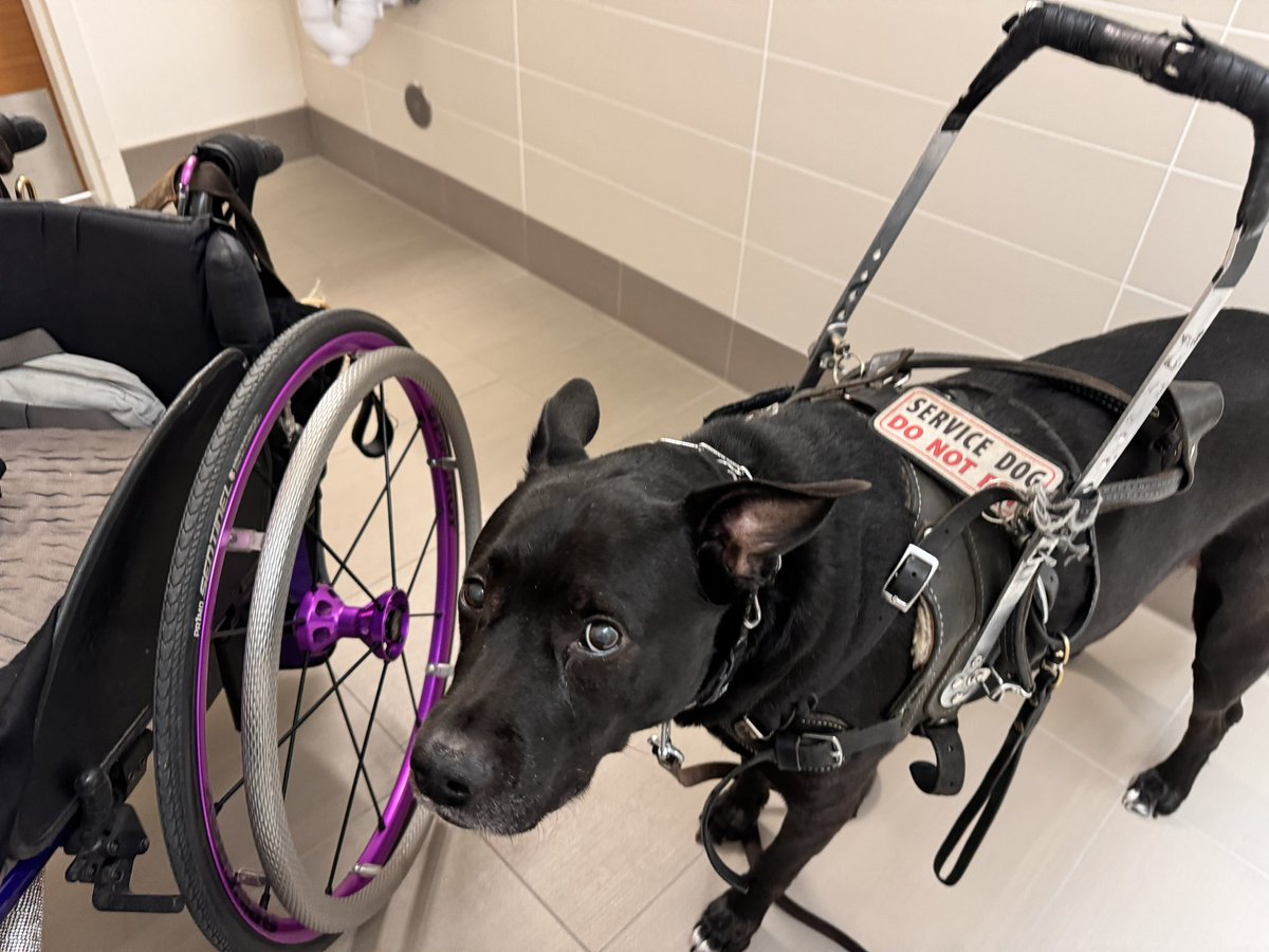 ForwardRolling tweet media