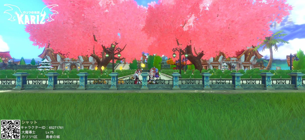 moffmaro's tweet photo. 隣同士の家の桜でトンネル作った🌸 https://t.co/PZjYxG45Qa