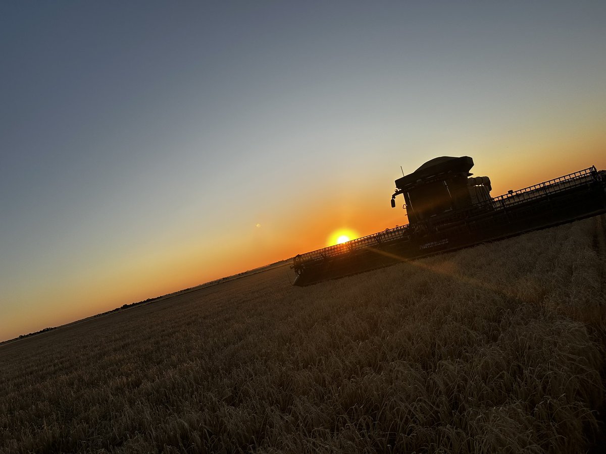 Harvest number 2-Victoria dusted, contract harvesting is a different game out here