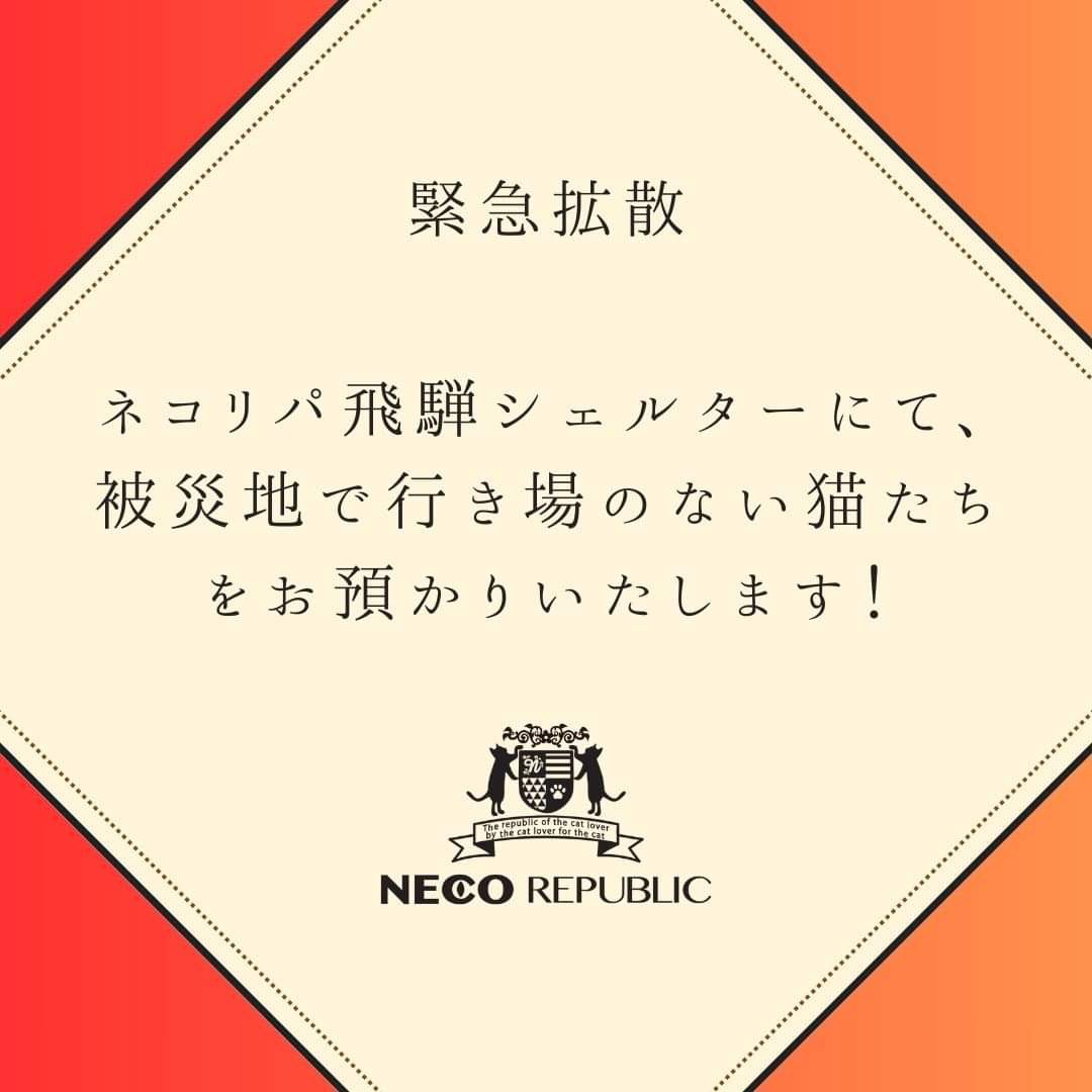 els4gats's tweet photo. 能登半島地震被災地にて、猫たちの行き場がなく困っておられる方へ

ネコリパ飛騨シェルターにて、猫のお預かりをさせていただきます！

詳しくはこちら！

https://t.co/TblDDrmxNe

まだ、被災地に直接入れないのですが、一般車両が入れるところまでお迎えも可能です！

必要な方に届きますように！ https://t.co/VUcDF3rEwx