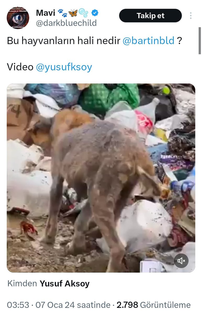 DokuzOlmaz's tweet photo. Bartın İl Çöplüğü Bartın Belediyesi sorumluluğunda değil, Bartın İl Özel İdaresi yani Bartın Valiliğinin sorumluluğundadır. Bartın Valiliğinin de bir bakımevi var. Bartın Belediyesi vicdanen çöplükle ilgilenebilir mi? İlgilenebilir.

Söz konusu video da bizzat benim emeğimdir. Benim bizzat arkadaşlarımla çöplükte çalışmamdır.

Yıllardır.

Ankara > Bartın 

Bizim Bartın duyarlılığımız SEL ile başlamadı, SEL bitince de BİTMEDİ.