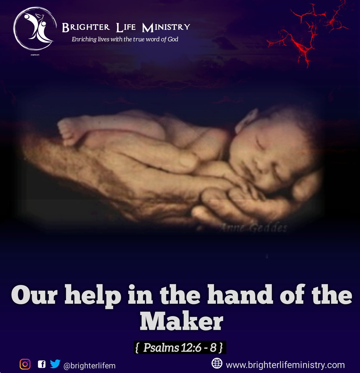 brighterlifem's tweet photo. https://t.co/F5lDE64Bzz https://t.co/zRDDpaTJYo