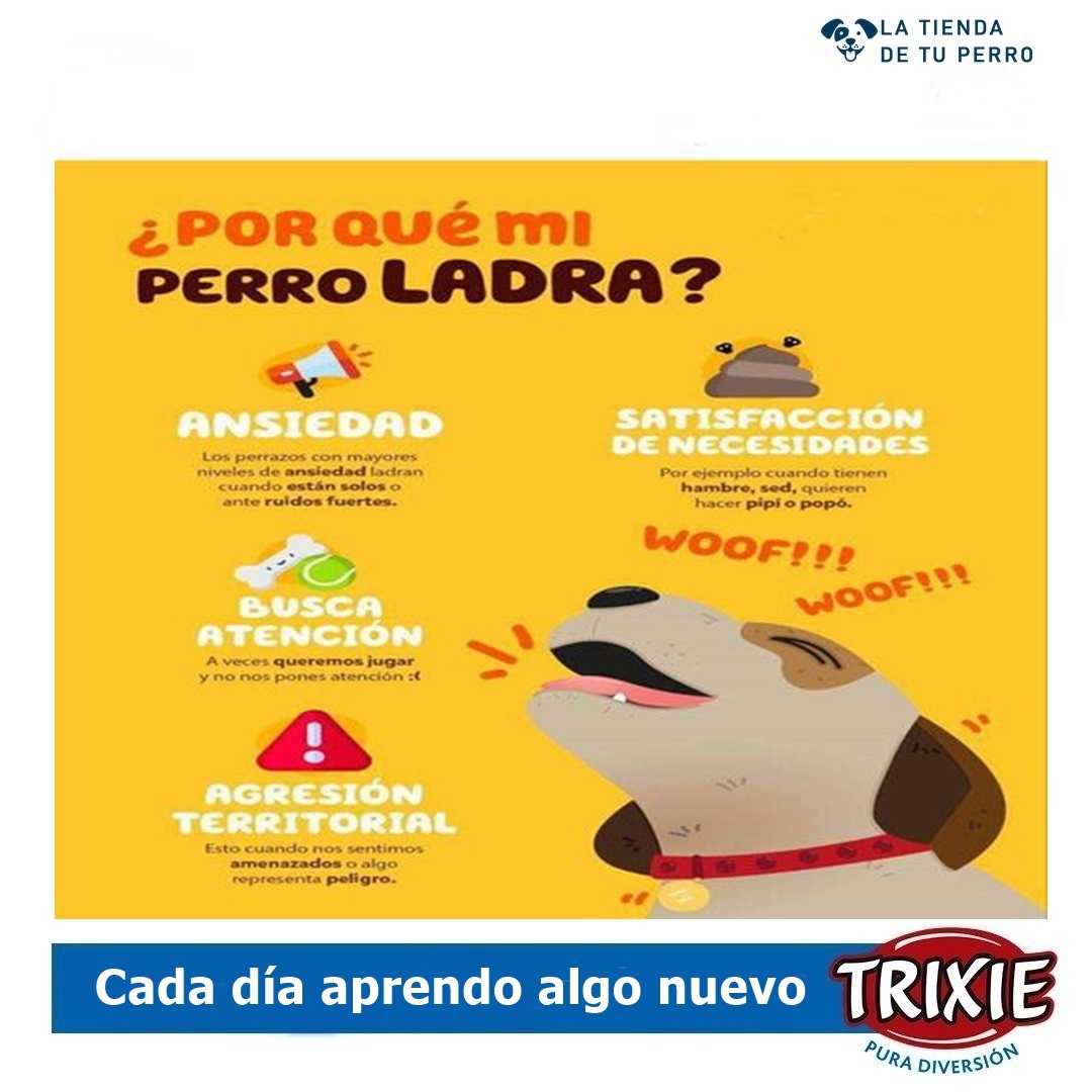 Nuestroperro's tweet photo. ¿Por qué mi perro ladra? 

Si alguna vez te has preguntado por qué tu peludo amigo ladra tanto, aquí te dejamos algunas posibles razones:

Puede ser por ansiedad, para satisfacer alguna necesidad, Para reclamar atención o para defender su territorio. https://t.co/C6s88HriE6