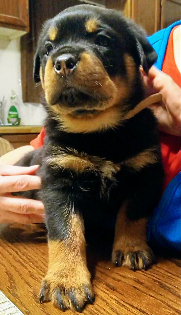 PhilipFlip78's tweet photo. Brown Boy 🧸 https://t.co/6ictrXx6SZ