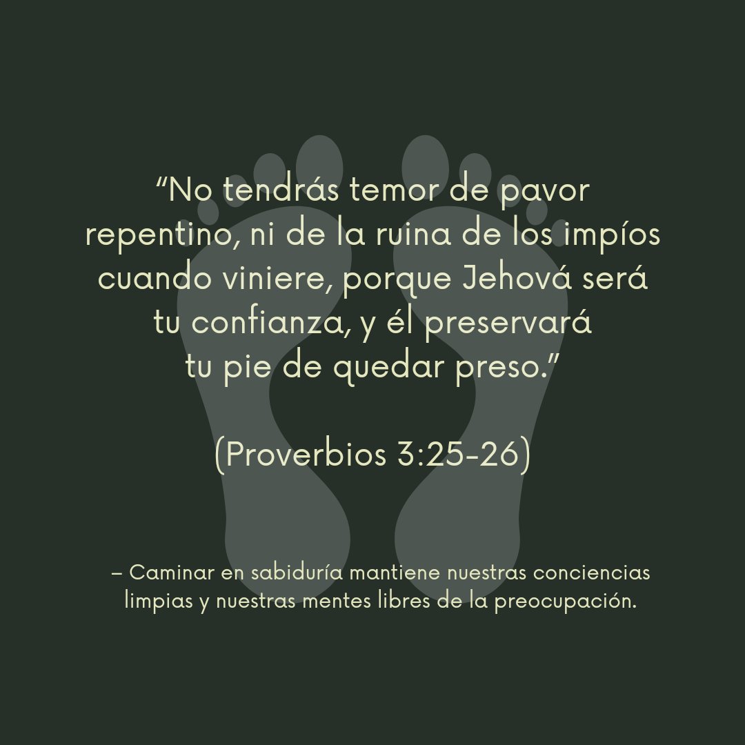 piebaorg's tweet photo. https://t.co/uPCNEnKvyP