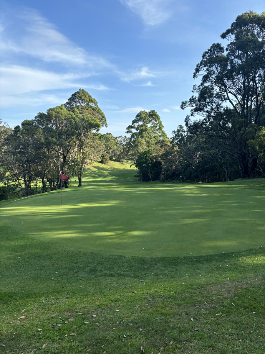 ARMR Motive tweet media