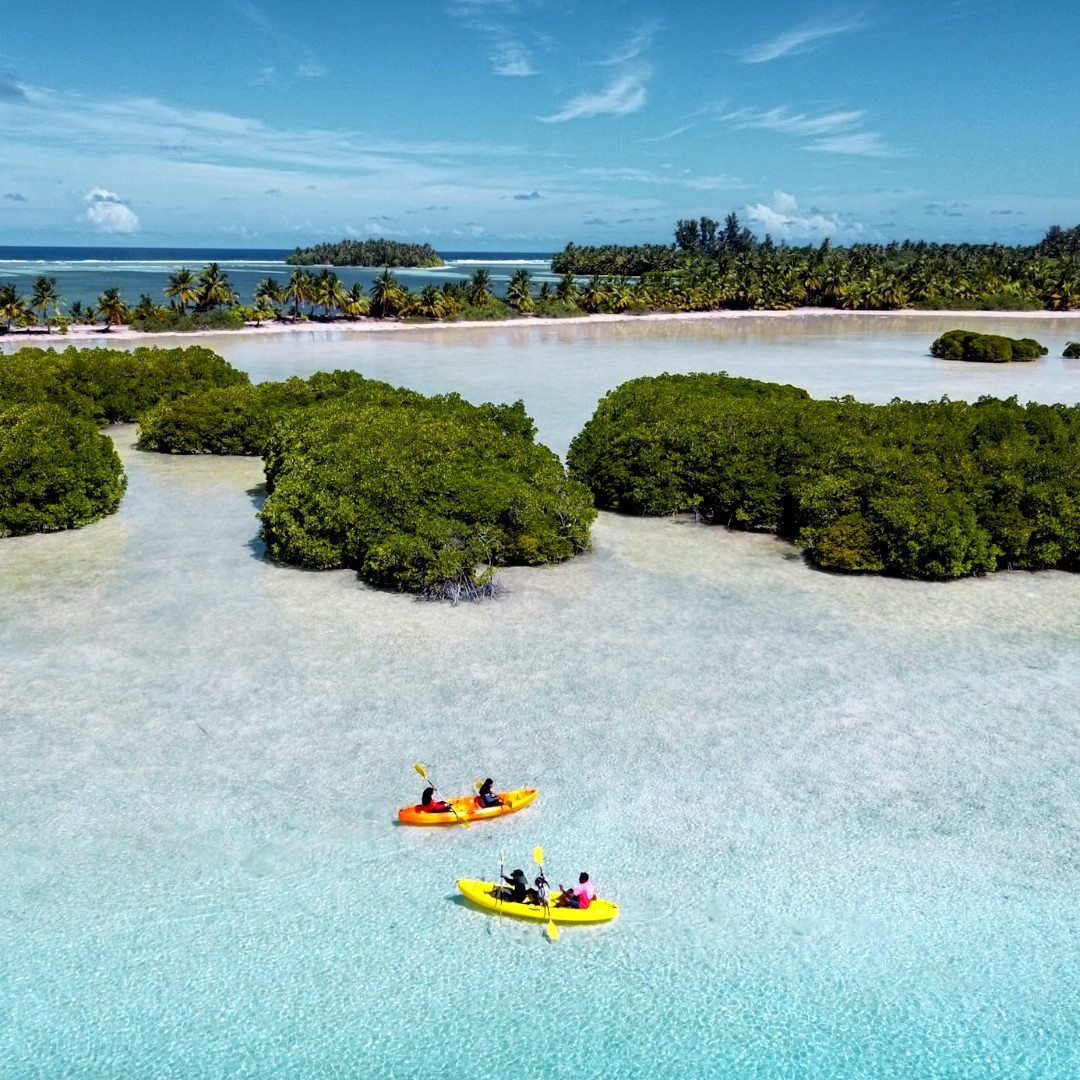 visitmaldives's tweet photo. Kayak through lush greenery
📷📍@sixsenseslaamu

#WorldLeadingDestination2023 #VisitMaldives #SunnySideofLife https://t.co/mwbRTnrqs2