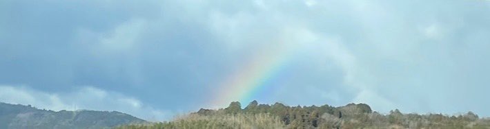 chisawan0420's tweet photo. 年が明けて1週間経ちました。
少しでも楽しいことの多い1年になりますように🙏
今年もよろしくお願いします🙇‍♀️

写真は元日の朝に出ていた虹です🌈 https://t.co/Ln4VIDQ523