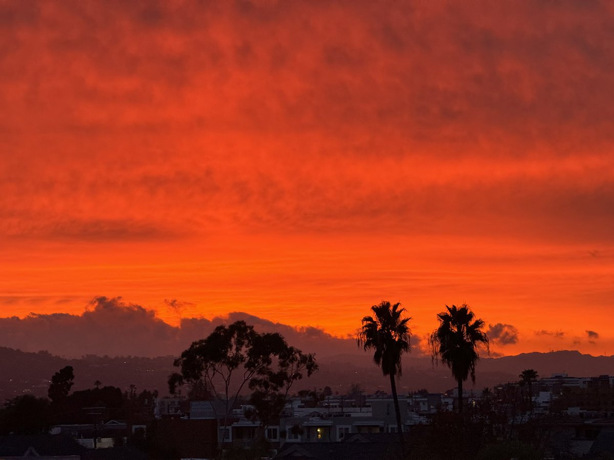 Пищу в голос когда вижу ТАКОЕ