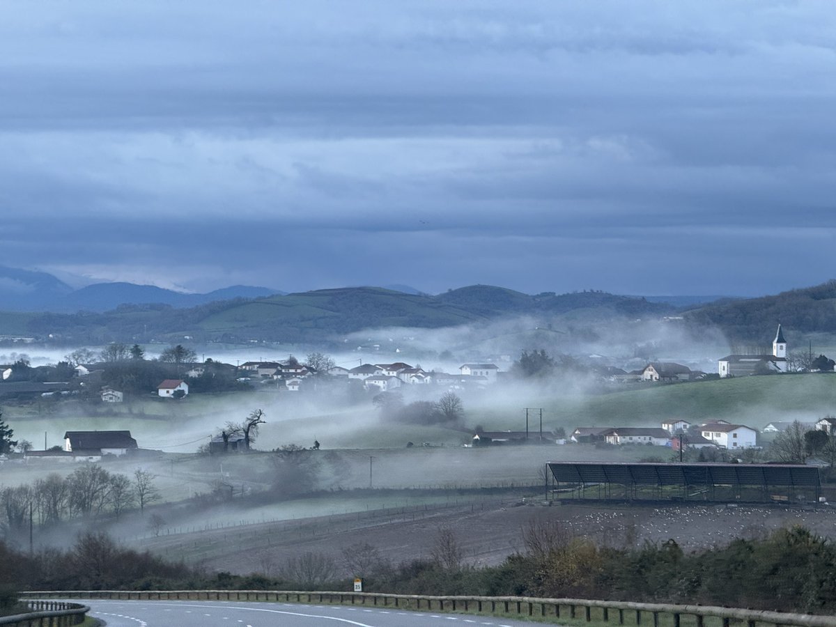 Mathieu AUZI tweet media