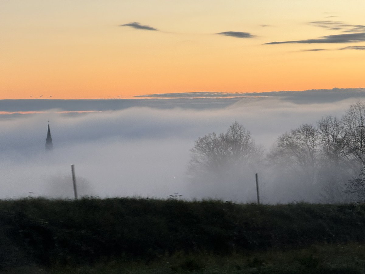 Mathieu AUZI tweet media