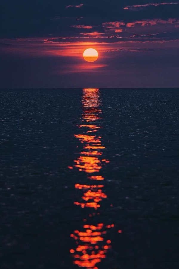 Murjanat💝 tweet media